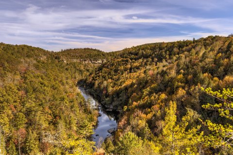 The Deep Green Gorge In Tennessee That Feels Like Something Straight Out Of A Fairy Tale