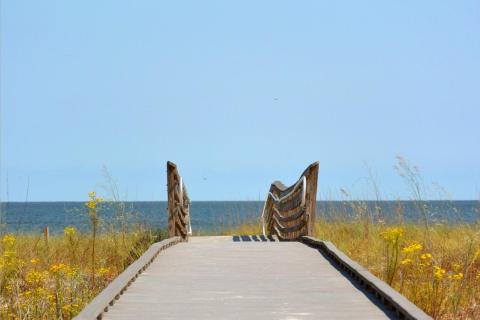 The Unassuming Florida Park Along The Gulf Coast Is One Of The Most Picturesque Places In The State