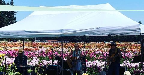Wander Through 40 Acres Of Dahlias At This Oregon Flower Festival