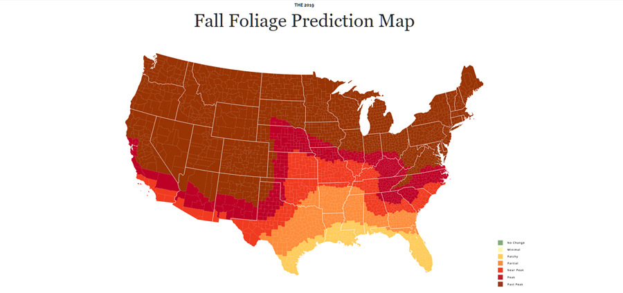Where And When To See Fall Colors In South Carolina This Year