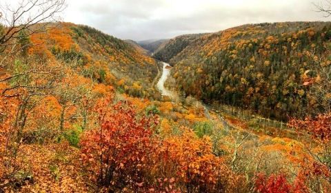 Visit The Grand Canyon Of PA, Pine Creek Gorge, For The Most Beautiful Leaf Peeping