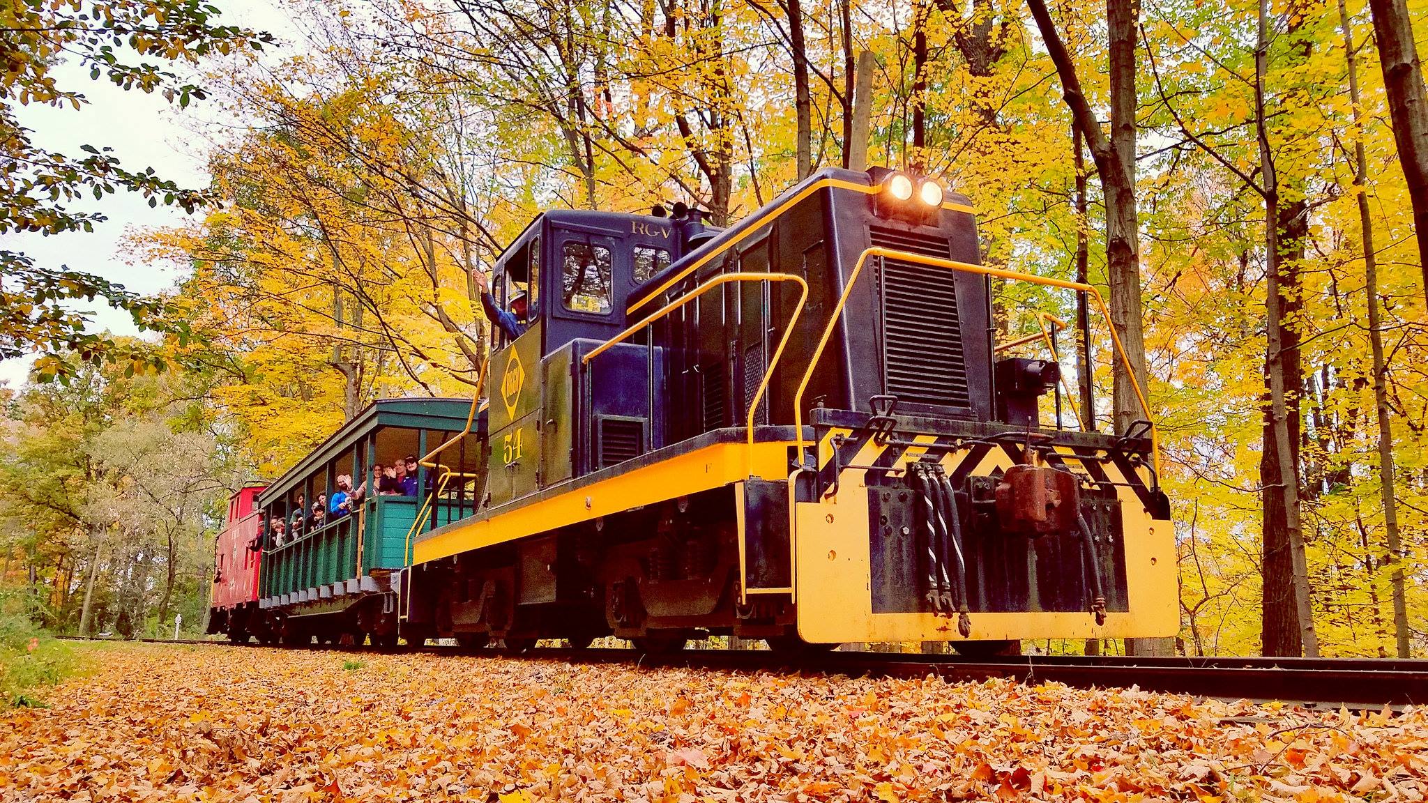 Five Best Fall Foliage Train Rides Around Buffalo