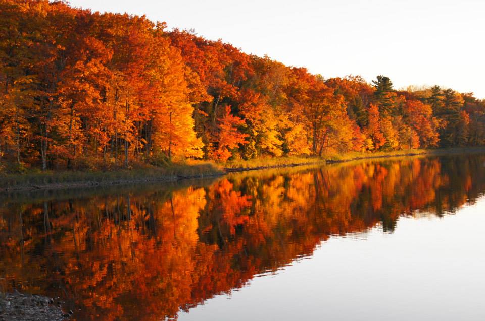 This Fall Color Tour Leads To Some Of Wisconsin's Most Beautiful Foliage