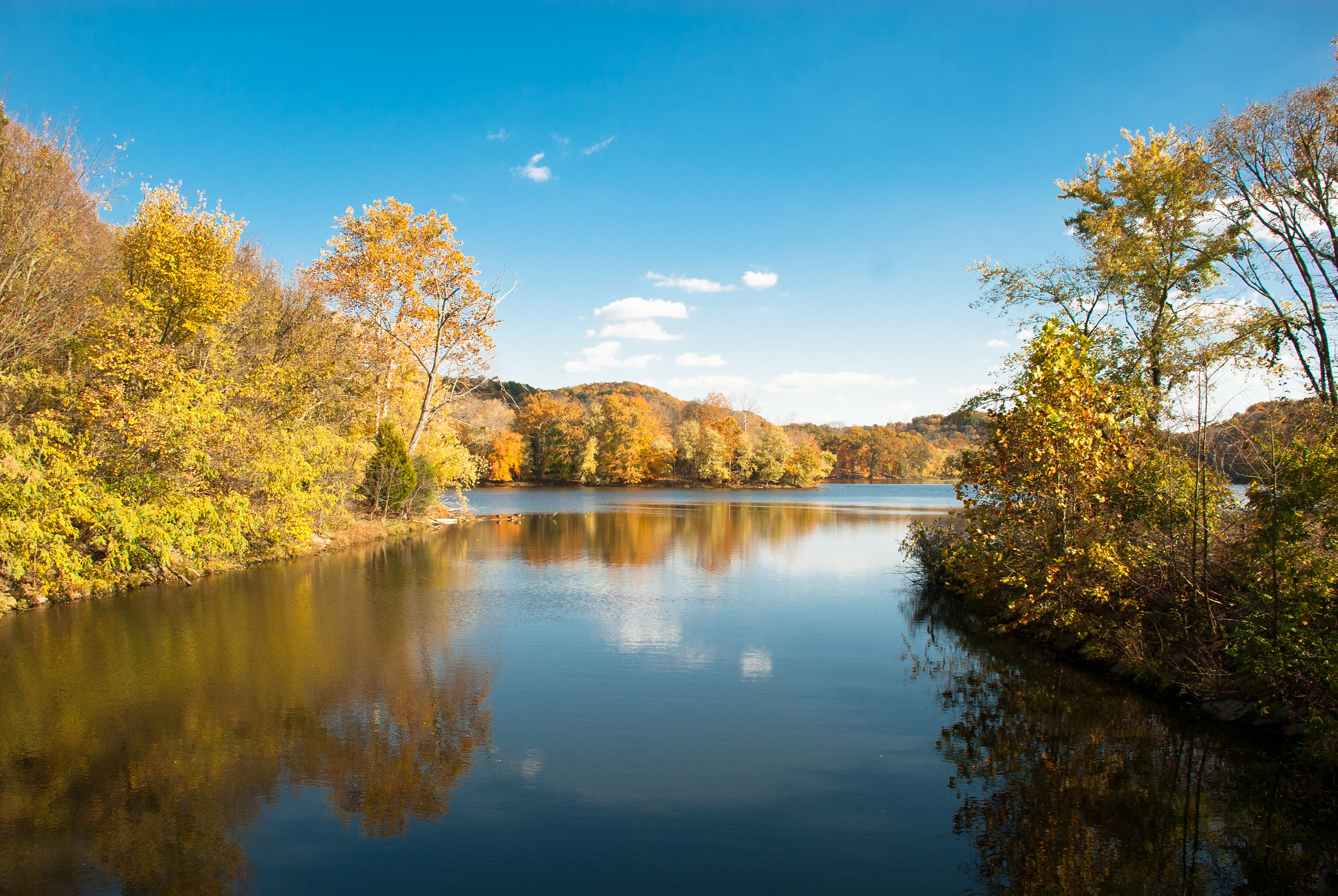 Best hikes to see fall foliage at its peak in Nashville, Tennessee