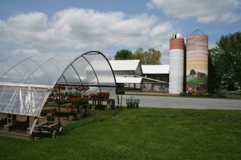 You'll Find Delicious Ice Cream, Amish Goods, And Fresh Produce At Barn-N-Bunk Farm Market In Ohio