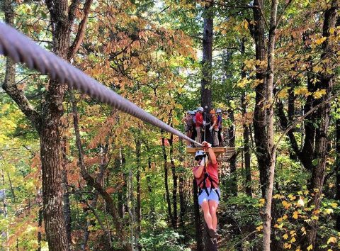 Take A Canopy Tour At Amicalola Aerial Adventure Park In Georgia To See The Best Fall Colors