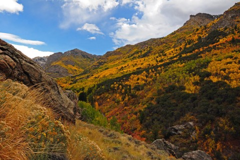 The Road Trip Through The Ruby Mountains In Nevada Will Take You Through Sheer Autumnal Perfection