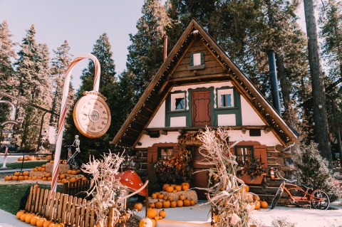 Pumpkins In The Pines Is One Of The Most Charming Fall Festivals In All Of Southern California