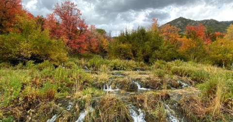 Cascade Springs In Utah Is Surrounded By Beautiful Fall Colors