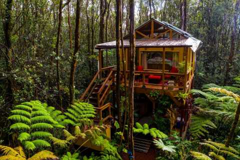 Escape Into The Rainforest When You Stay At This Charming Hawaii Treehouse