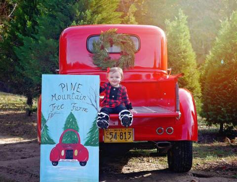 Search For The Perfect Tree With The Whole Family At Pine Mountain Tree Farm In Mississippi 