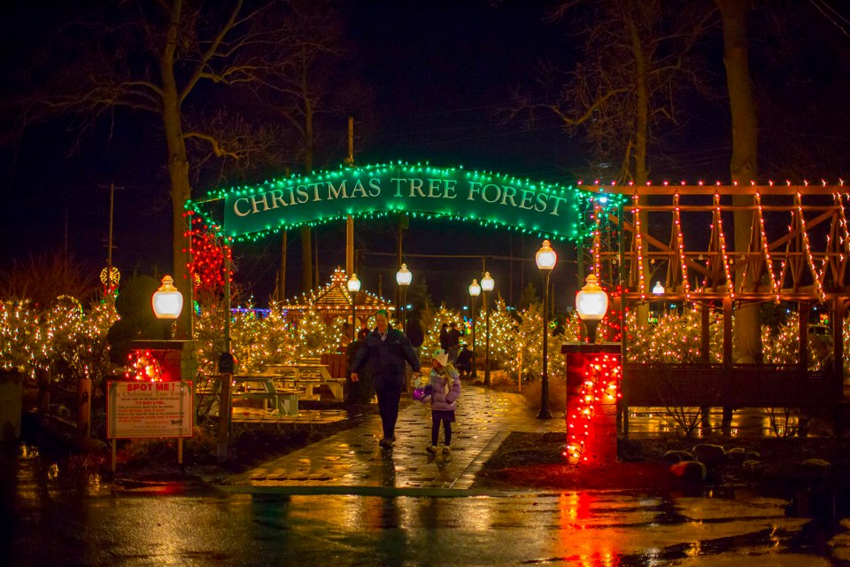 Fairgrounds Festival Of Lights In New York Has Christmas Tree Trail