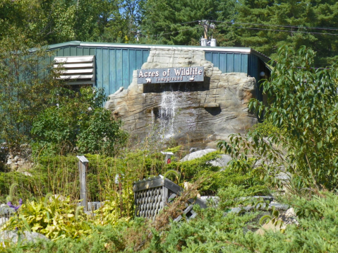 There’s A Hobbit-Themed Rental House In Maine And It’s The Perfect Little Hideout