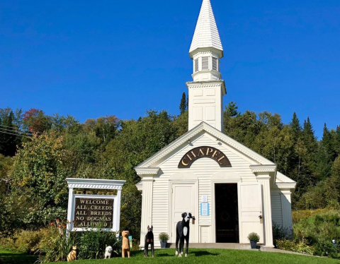 Dog Lovers Will Absolutely Love The Dog Chapel In Vermont