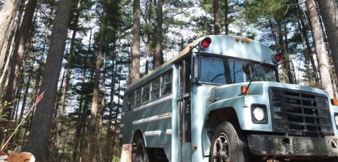 If You'd Never Consider Sleeping In A School Bus In The Forest In North Carolina, You'll Think Again After Seeing This One