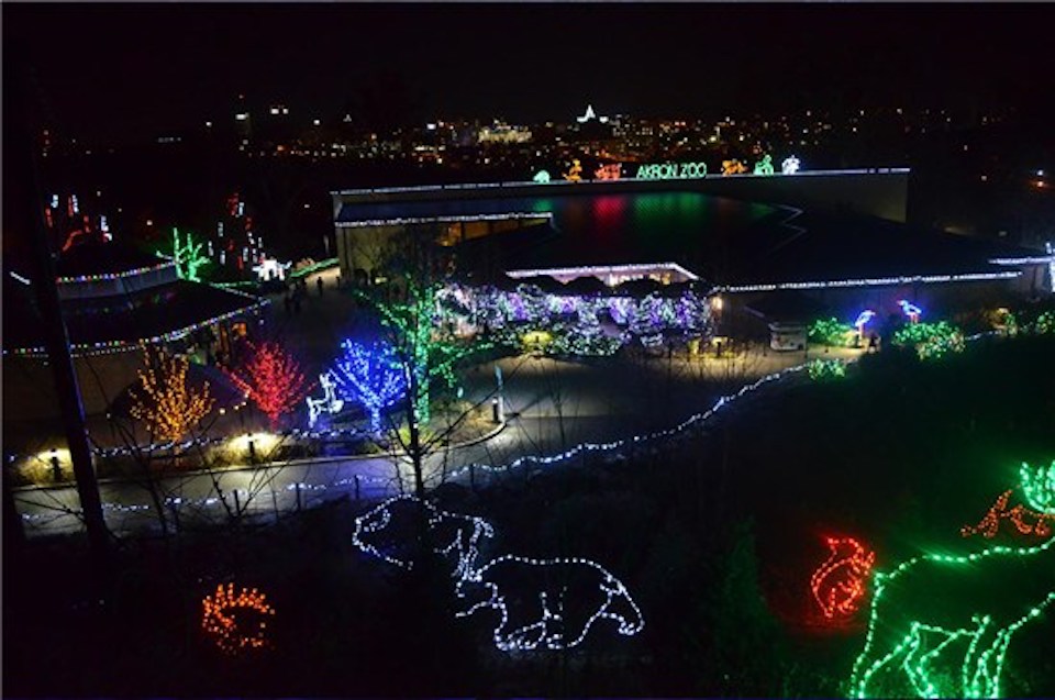 Best LlittleKnown Zoo Christmas Lights Display Akron Zoo Wild Lights