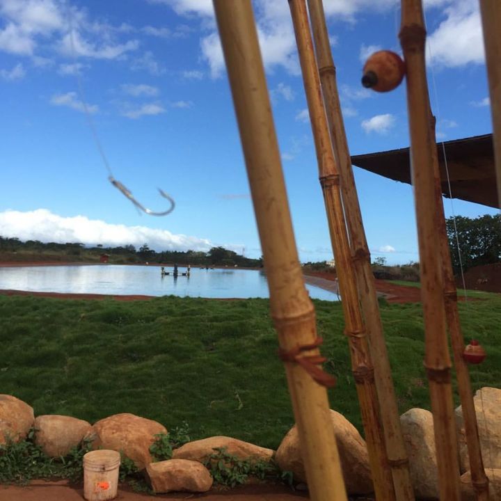 Hawaii Mom Blog: Fishing Fun with the Family at Ali`i Agriculture Farms