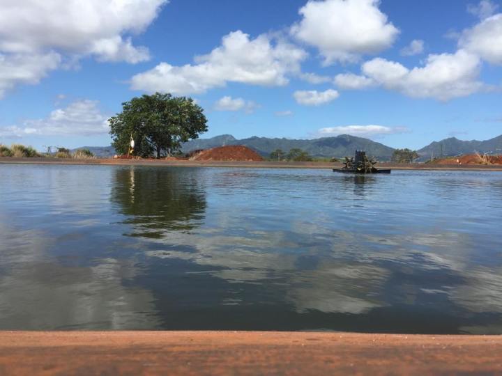 The Entire Family Will Enjoy Fishing From The Three Ponds Found At Ali'i Agricultural  Farms In Hawaii