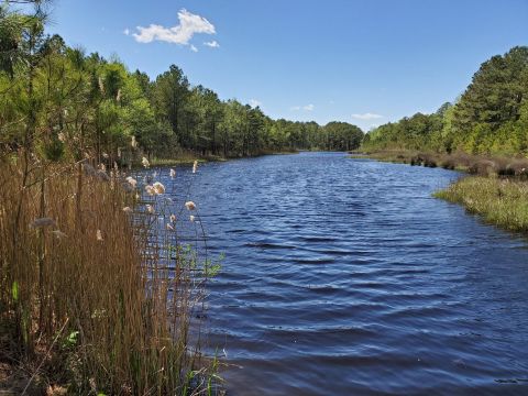 Find Solitude Along The Prickly Pear Loop, One Of Delaware's Most Peaceful Hikes