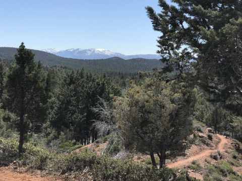 Take An Easy Loop Trail To Enter Another World In Arizona's Tonto National Forest