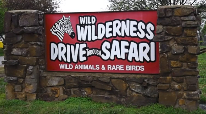 drive through safari fayetteville ar