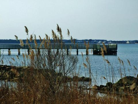 The Beautiful Holt's Landing State Park In Delaware Makes For A Picture Perfect Crabbing Destination