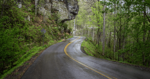 Take A Springtime Drive Through The Vibrant And Blooming Mountains Of Kentucky