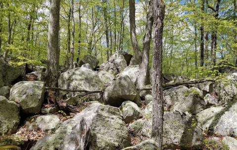 Discover 13,000-Year-Old Glacial Boulders Along The Ledyard Park Loop, A Short Hiking Trail In Connecticut