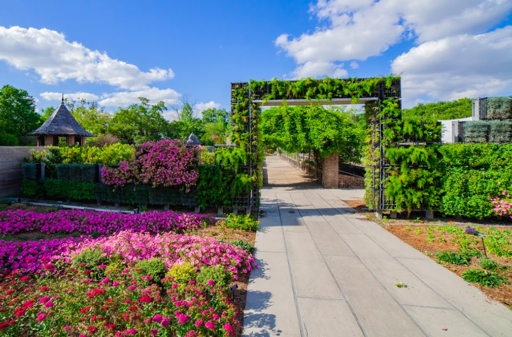 See Over 2,000 Beautiful Blooms At The Botanical Garden In New Orleans