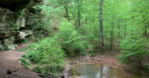 A 70-Foot-Tall Waterfall And Massive Cave Are Hiding On The Trails Of The Jones-Keeney Area In Kentucky