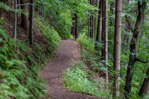 Get Lost In A Labyrinth Of Hiking Trails At Pere Marquette State Park In Illinois