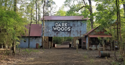 You Can Now Dig For Fossils At Dark Woods Adventure Park In Louisiana