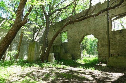 When You Take The Kelleys Island North Shore Loop Trail, It'll Lead You To Extraordinary 1800s Ruins In Ohio