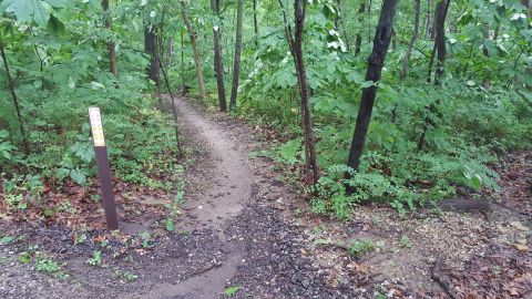 S'mores Trail Might Be One Of The Most Beautiful Short-And-Sweet Hikes To Take In Kansas