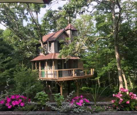 Discover A Tiny Piece Of Paradise When You Check Into Mink Cove Treehouse In Massachusetts