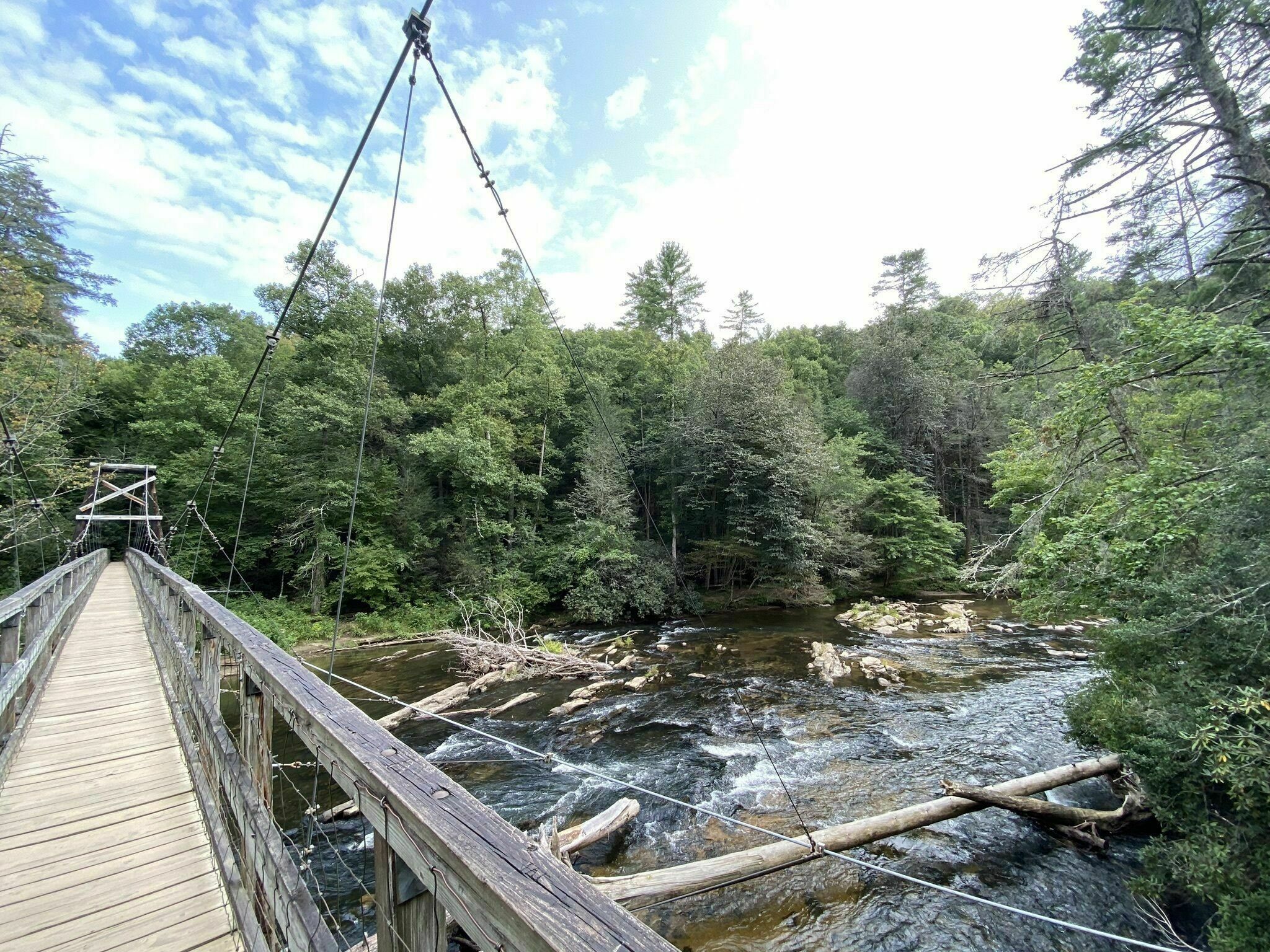 Enjoy Nature As You Trek Along The Swinging Bridge Hike In Georgia