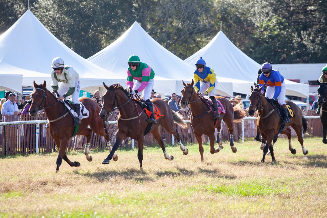 Watch The Race From The Rails At The Steeplechase Of Charleston In