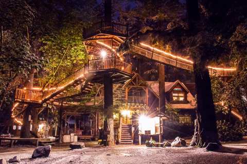 There's A Treehouse Village In Oregon Where You Can Spend The Night