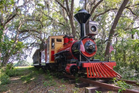Watch This Florida Farm Whirl By On This Unforgettable Christmas Train