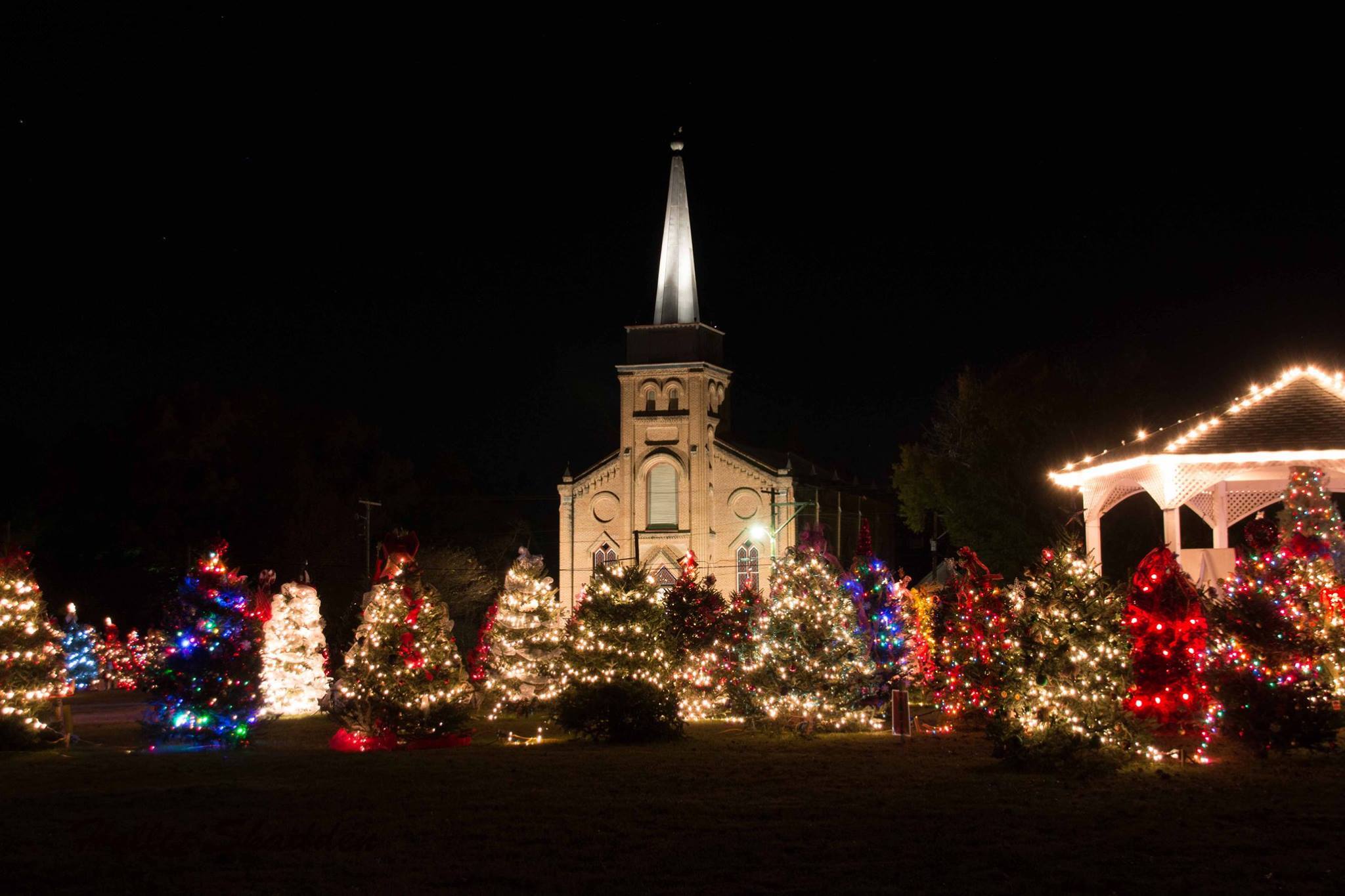 Walk Through A Trail Of Christmas Trees In Texas This Holiday Season