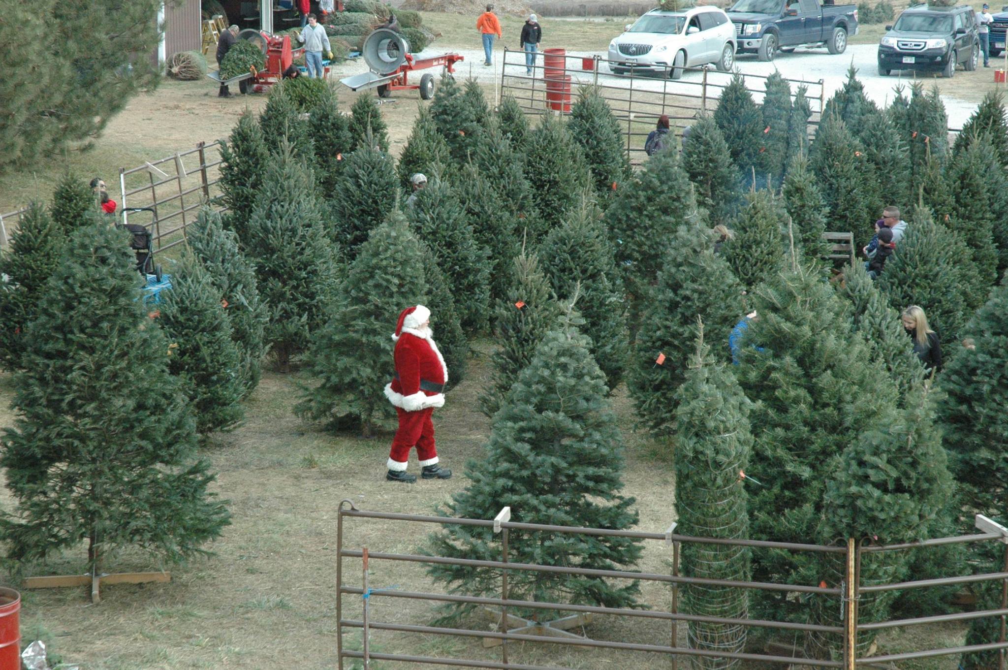 Santa's Woods Is One Of The Best Christmas Tree Farms In Nebraska