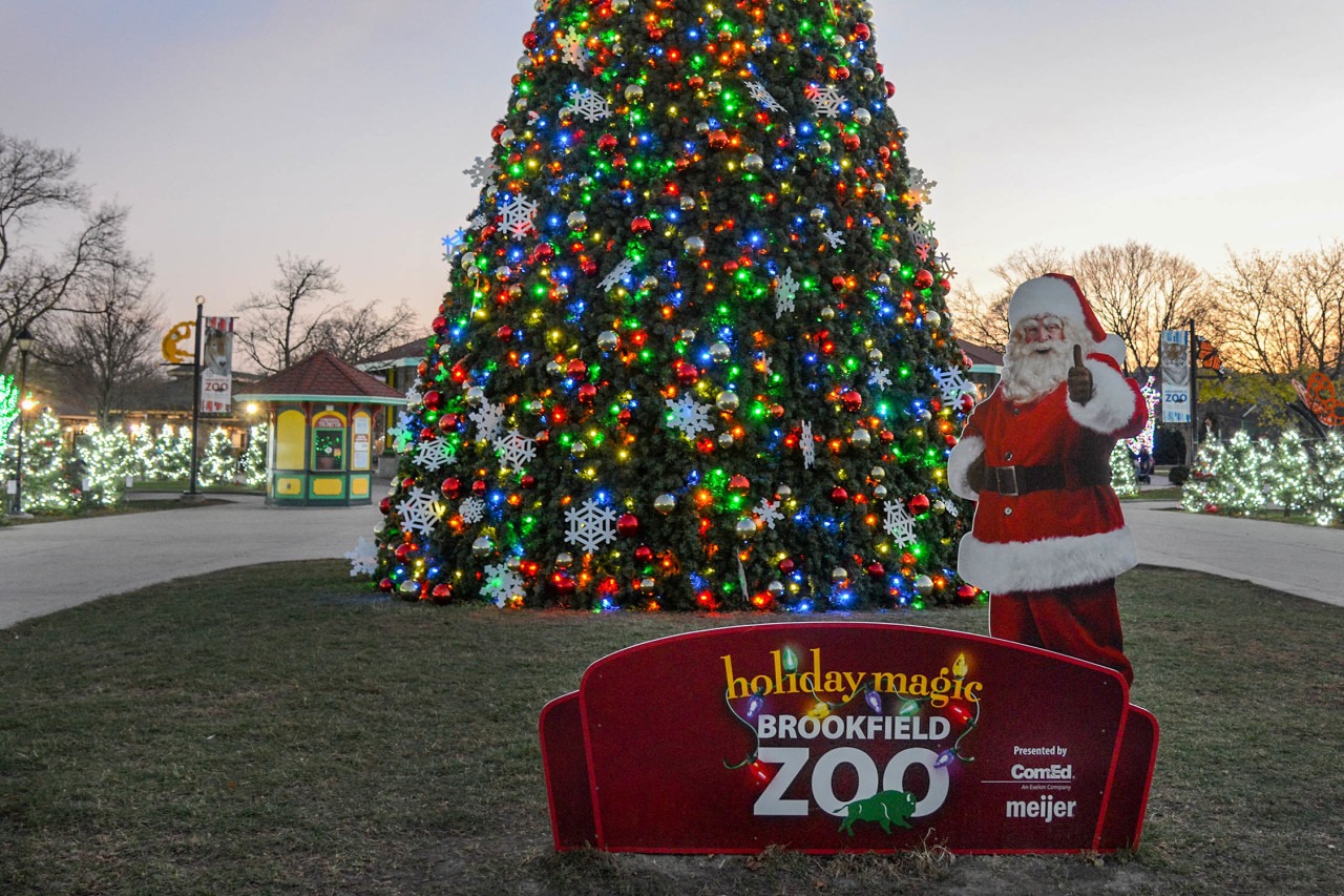 Brookfield Zoo Holiday Lights Schedule Shelly Lighting