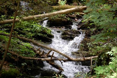 Visit A Stunning Waterfall By Horseback On This Unique Tour In Tennessee