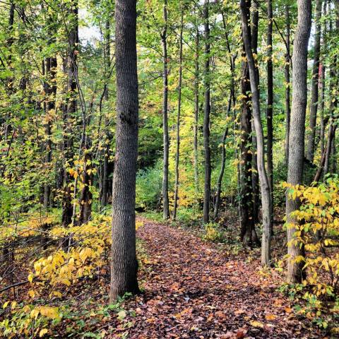 New York's Beaver Lake Nature Center Makes For An Ideal Weekend Trip