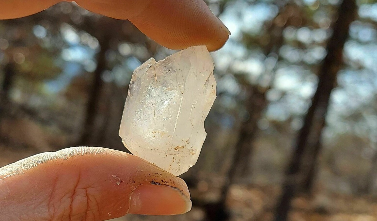 A few small crystals picked from Crystal Vista, Arkansas. - Picture of  Crystal Vista, Mount Ida - Tripadvisor