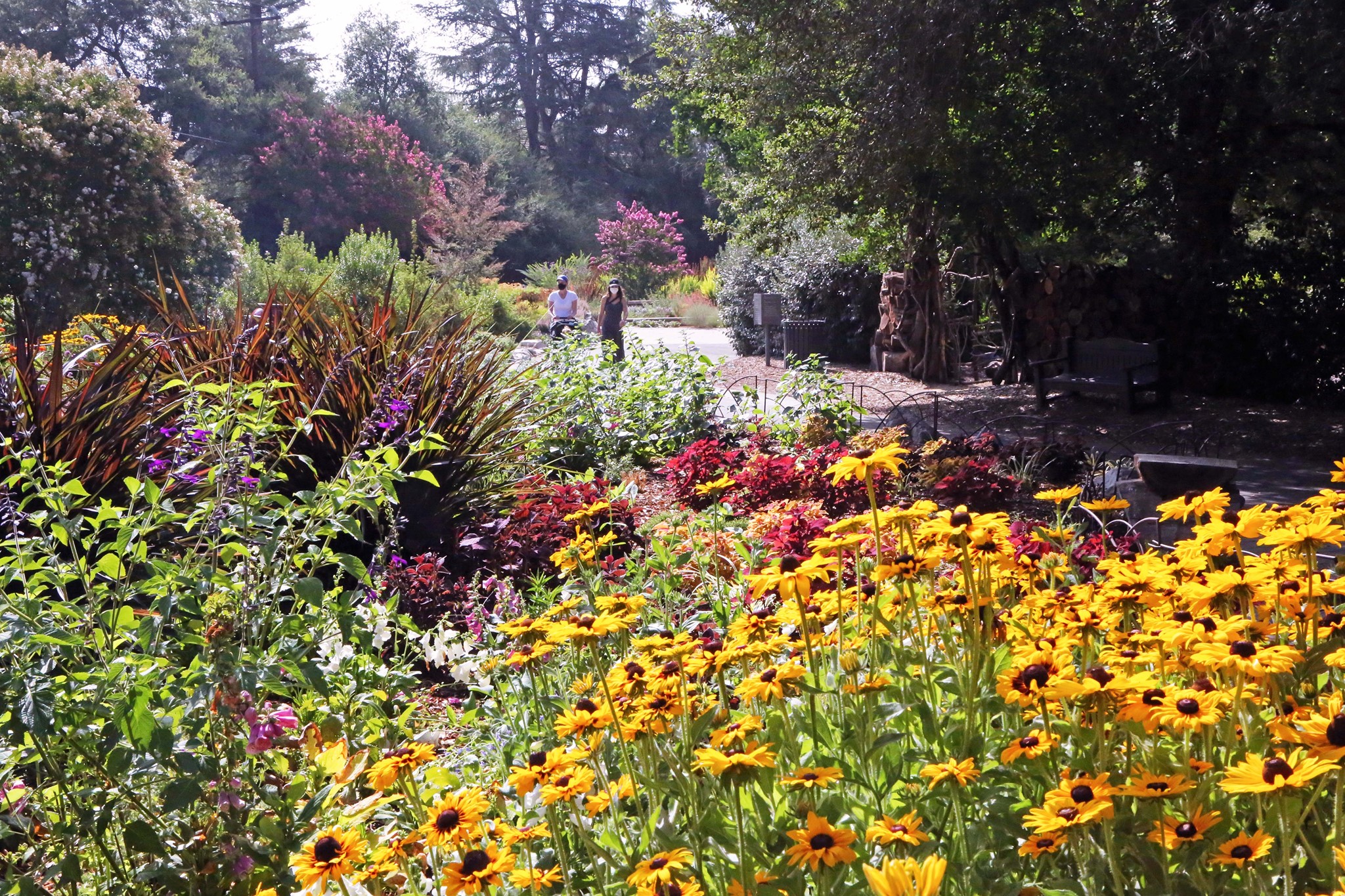 The Descanso Gardens Has Over 1,600 Roses In Bloom In SoCal