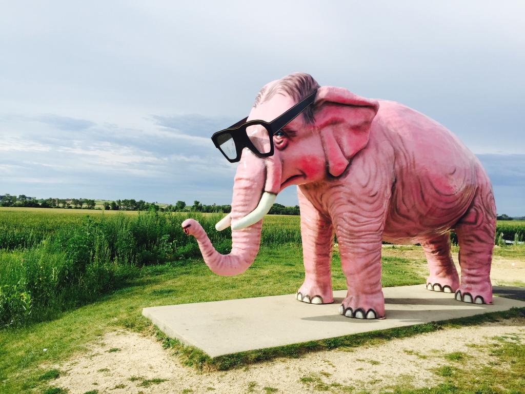 TRAVELER'S COMPANY – Pinky Elephant
