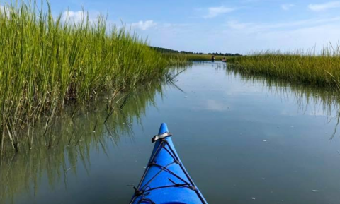 Embark On A Guided Eastern Shore Kayak Tour To A Local Winery For The Ultimate Virginia Experience