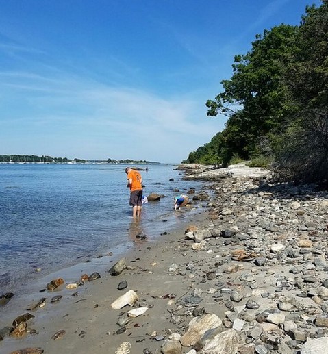 This Hidden Beach Along The New Hampshire Coast Is The Best Place To Find Seashells