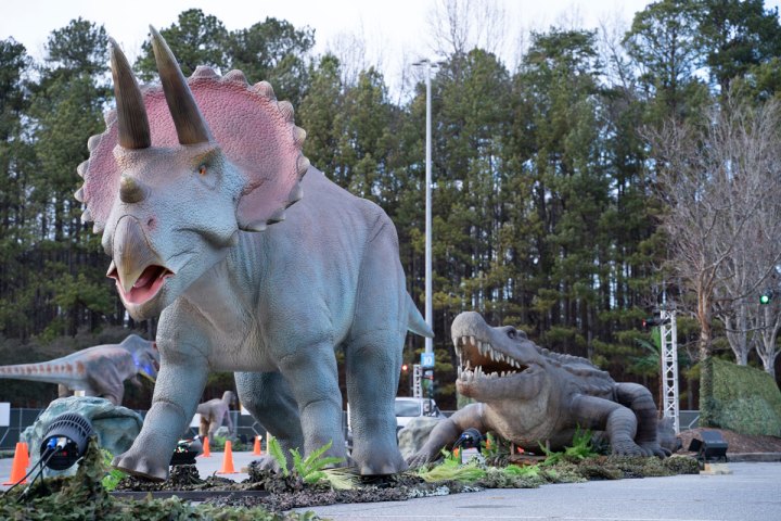 drive thru safari louisville ky